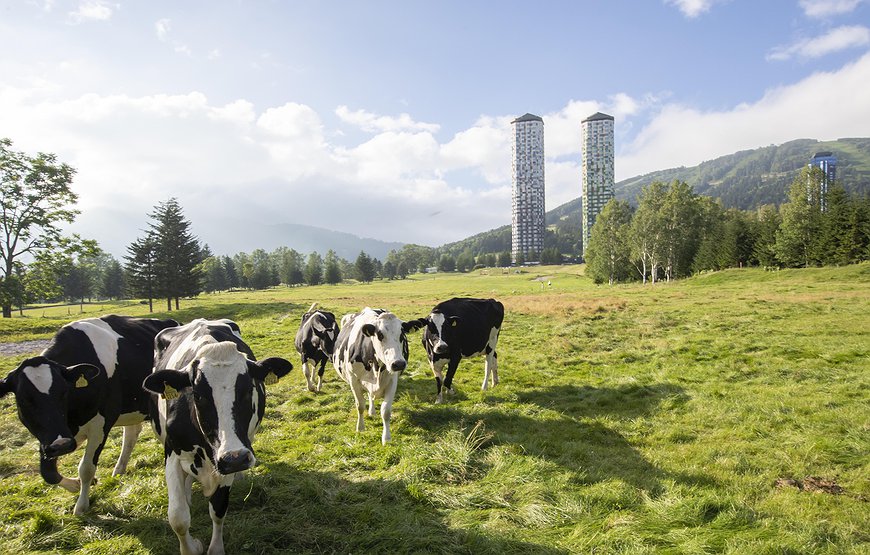 Tomamu The Tower｜Hoshino Resorts - Japanese Farm Stay In Skyscrapers