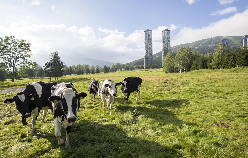 Tomamu The Tower｜Hoshino Resorts - Japanese Farm Stay In Skyscrapers
