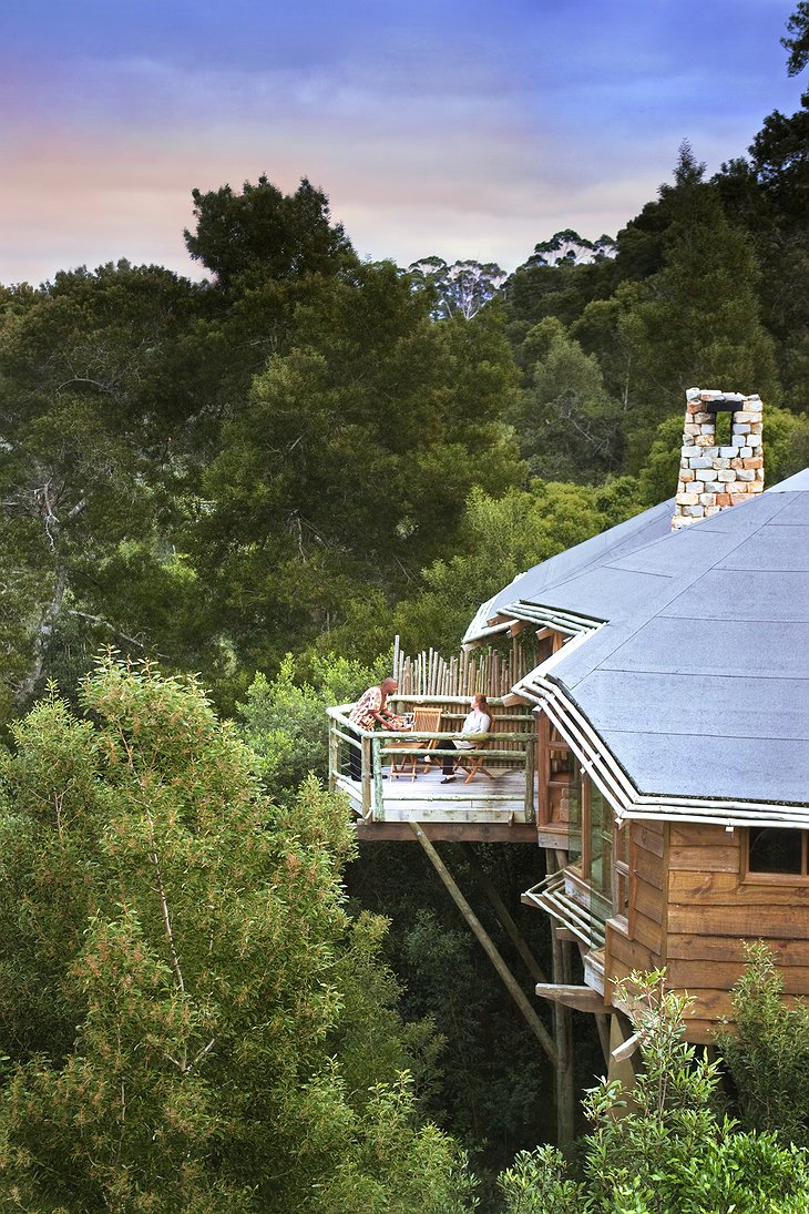 Tsala Treetop Lodge Villa Aerial