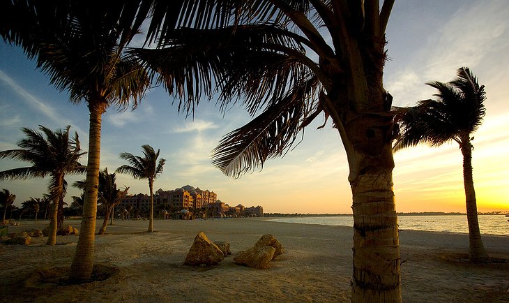 Emirates Palace and palm trees