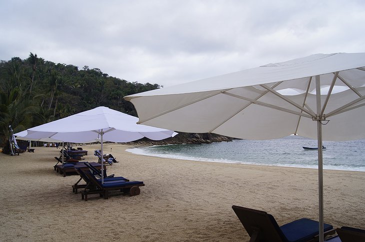 Beach umbrellas