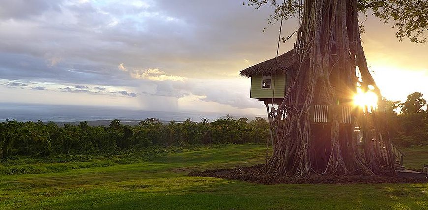 Lupe Sina Treesort - Fairy Tale Ancient Banyan Tree