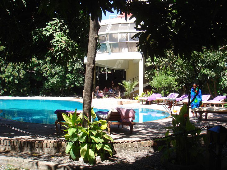 Safari Lodge Adama hotel pool