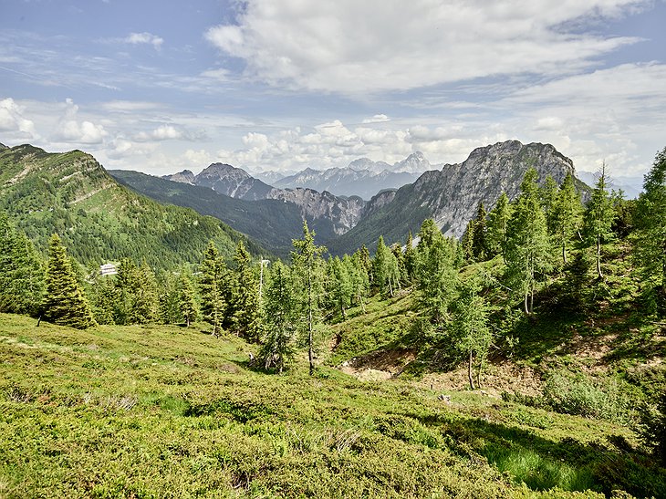 Nassfeld Alps Green Forests
