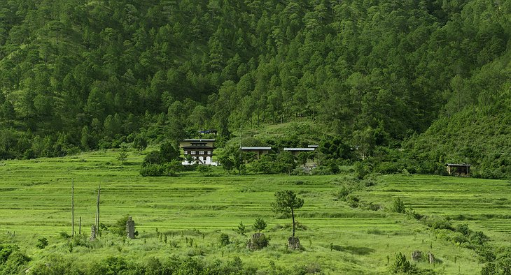 Amankora Resort Bhutan