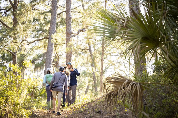 Little St. Simons Island Hiking Trip