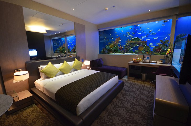 Aqua Classic Room