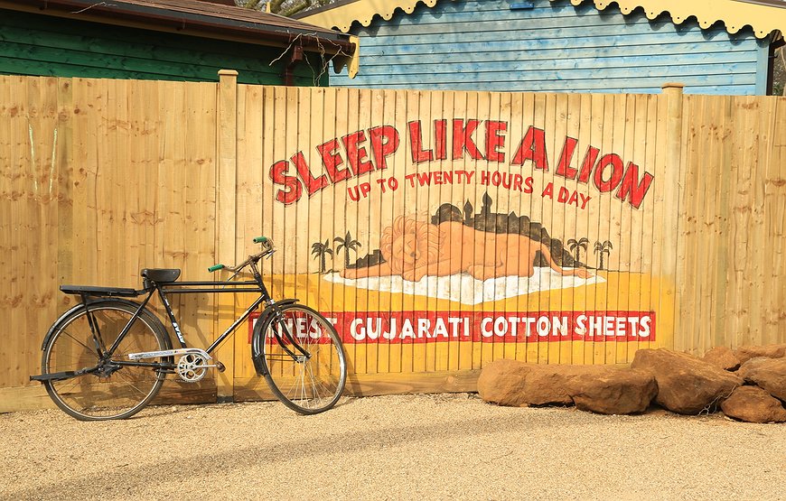 London Zoo Lodges - Sleeping with the Lions: A Night Inside London Zoo's Gujarati Lodges