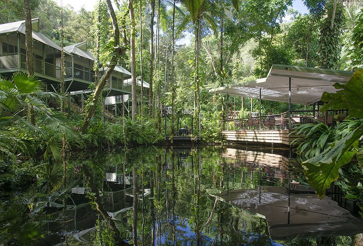 Daintree Eco Lodge sitting on fresh water