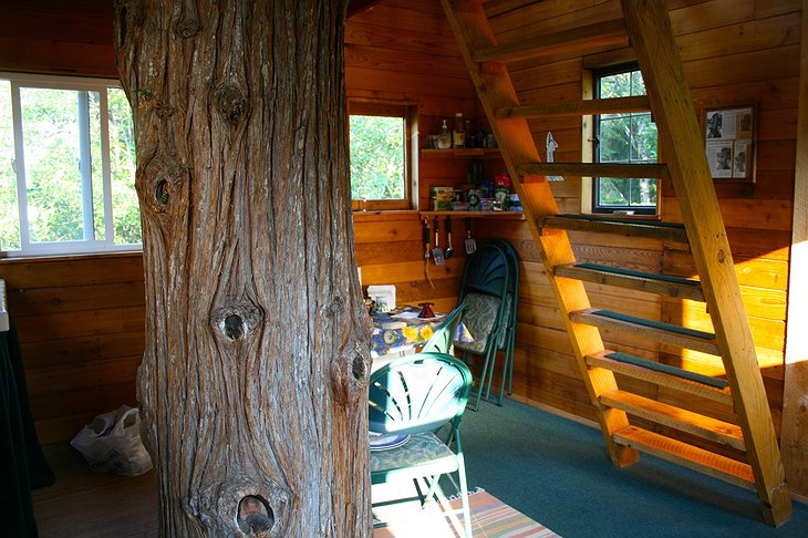 Cedar Creek Treehouse interior