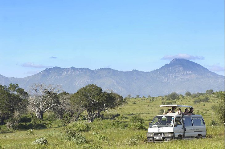 Sarova Salt Lick Game Lodge safari