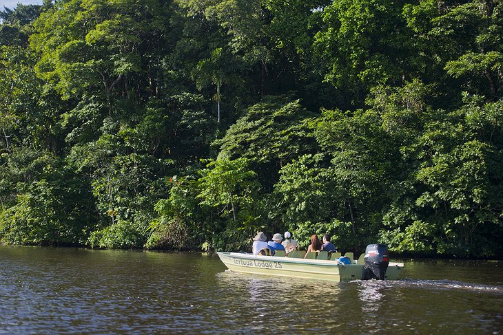 Tortuguero National Park Boat Tour