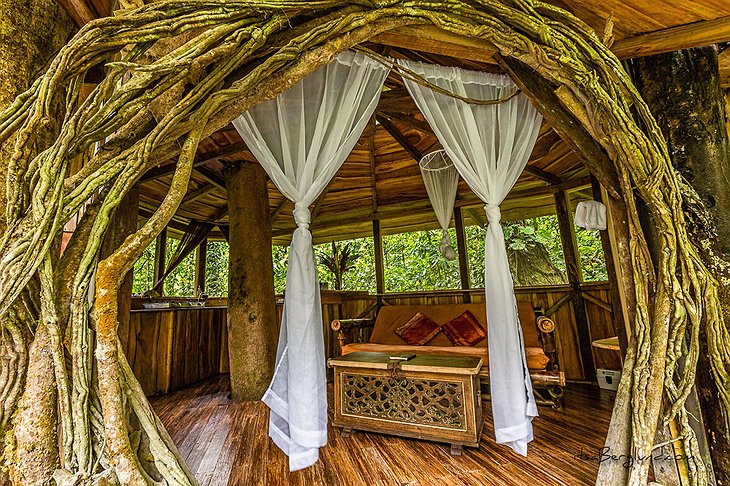 Mis Ojos treehouse bedroom
