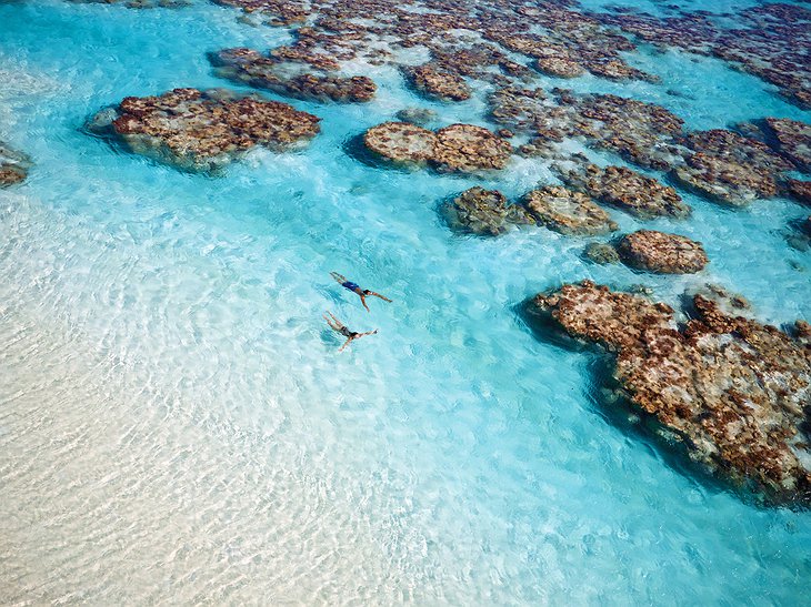 Tetiaroa private atoll coral swimming