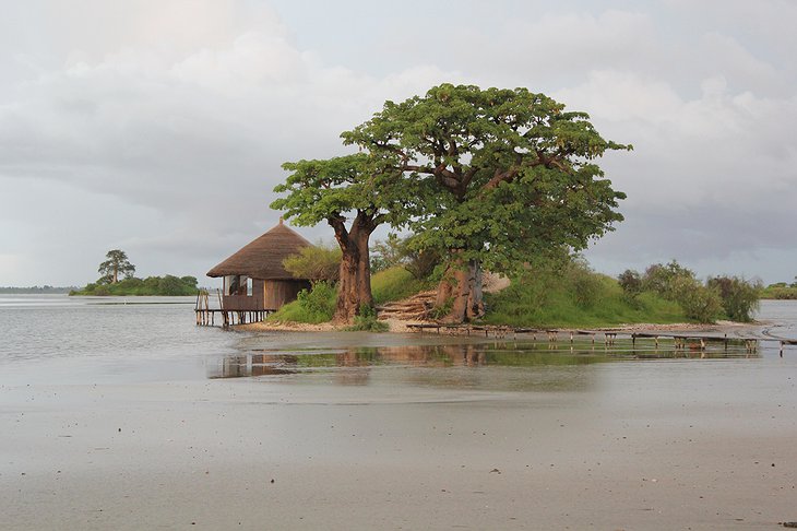Les Collines De Niassam hut and a baobab tree