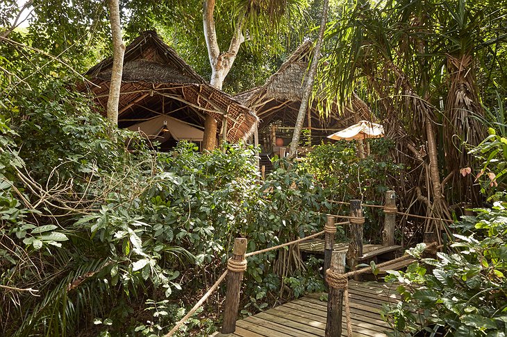 Fundu Lagoon Resort Jungle Suite