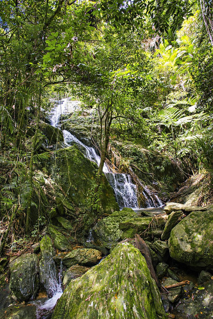 Daintree Eco Lodge waterfall