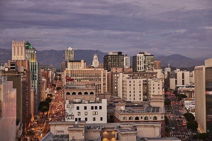 Downtown LA Proper Hotel Rooftop View