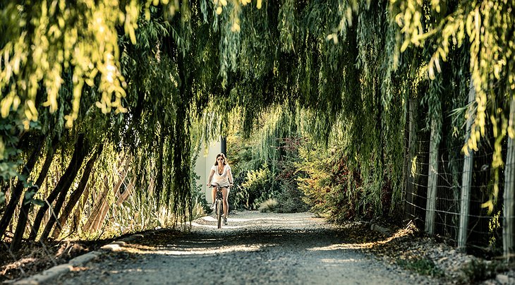 Cavas Wine Lodge Biking