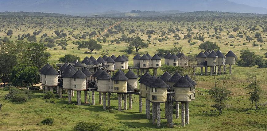 Sarova Salt Lick Game Lodge - Quirky Buildings On Sticks Surrounded By Wildlife