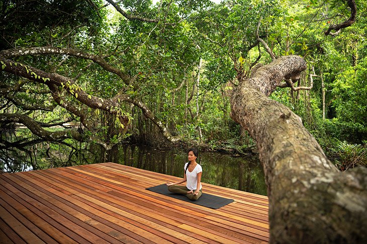 Wa Ale Resort Yoga Under Mangrove Trees