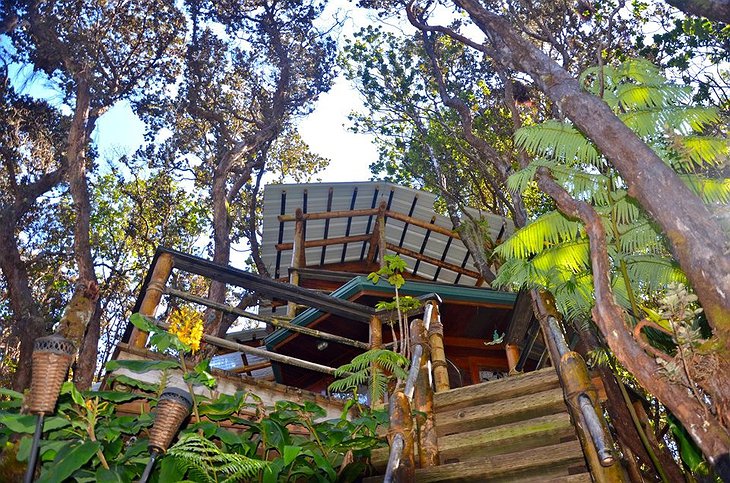 Mahinui Na Lani tree house stairs