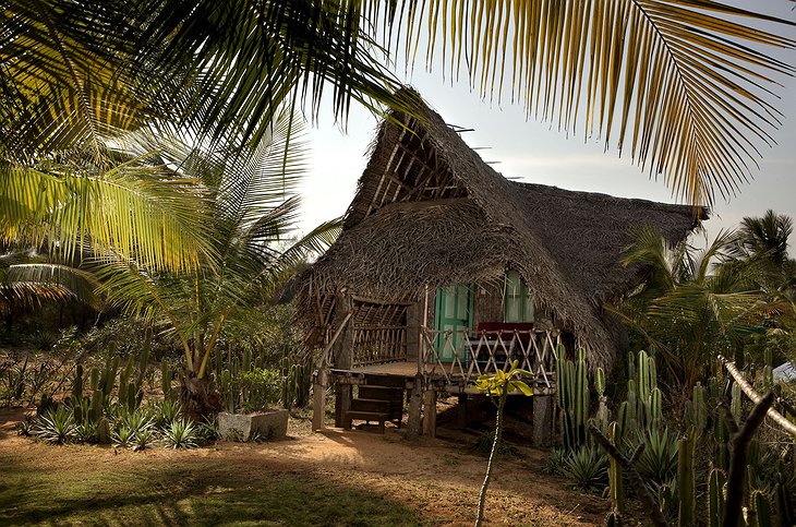 The Dune Eco Village and Spa wooden building