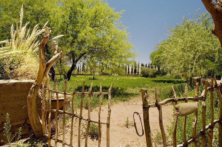 Wooden fence