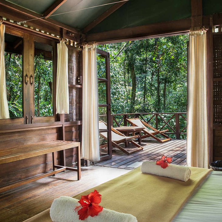 Our Jungle House Resort Treehouse Open Doors To Veranda