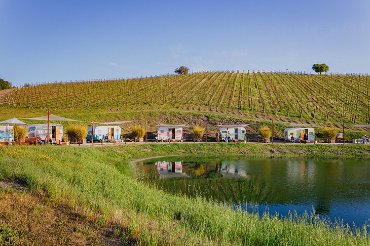 The Trailer Pond At The Alta Colina Vineyard
