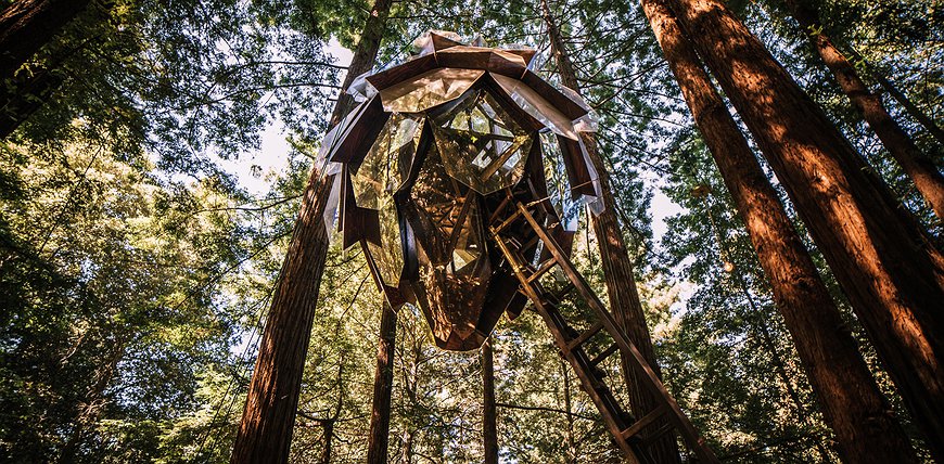 O2 Treehouse - Pinecone-Shaped Treehouse With Panoramic Views Of Red Wood Forest In California