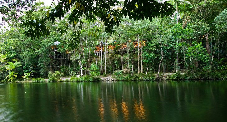 Silky Oaks Lodge in the lush jungle