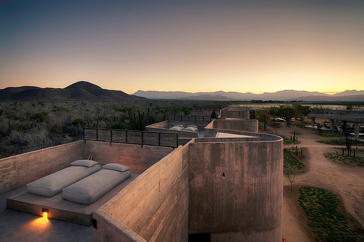 Paradero Todos Santos Rooftop Suite