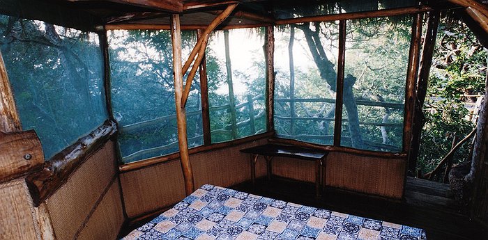 Nanshan Treehouse Resort - Tropical China