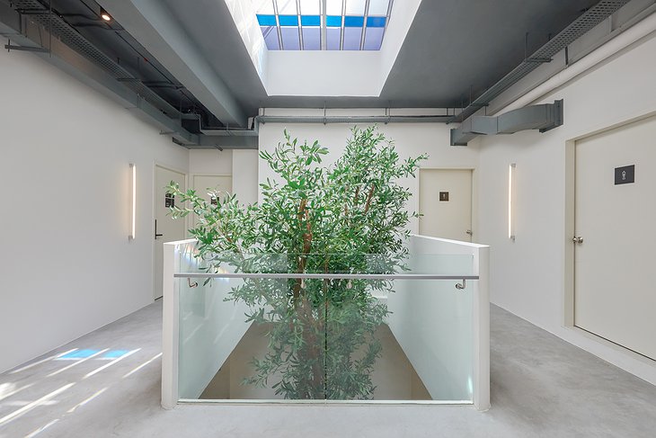 KINN Capsule Hotel Skylight Plant