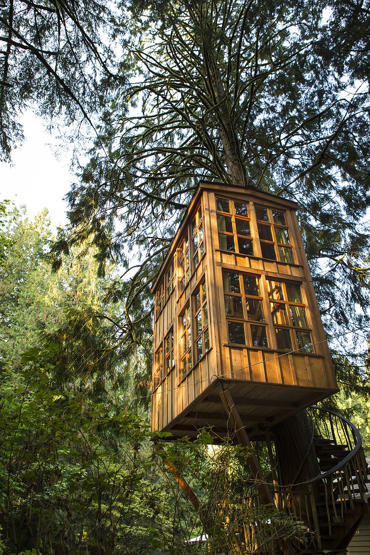 Trillium Tree House high windows