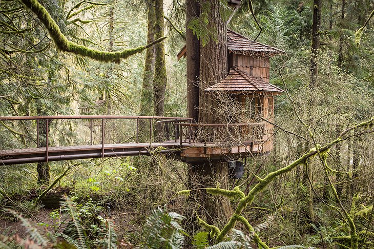 Burl Tree House Exterior Bridge Side