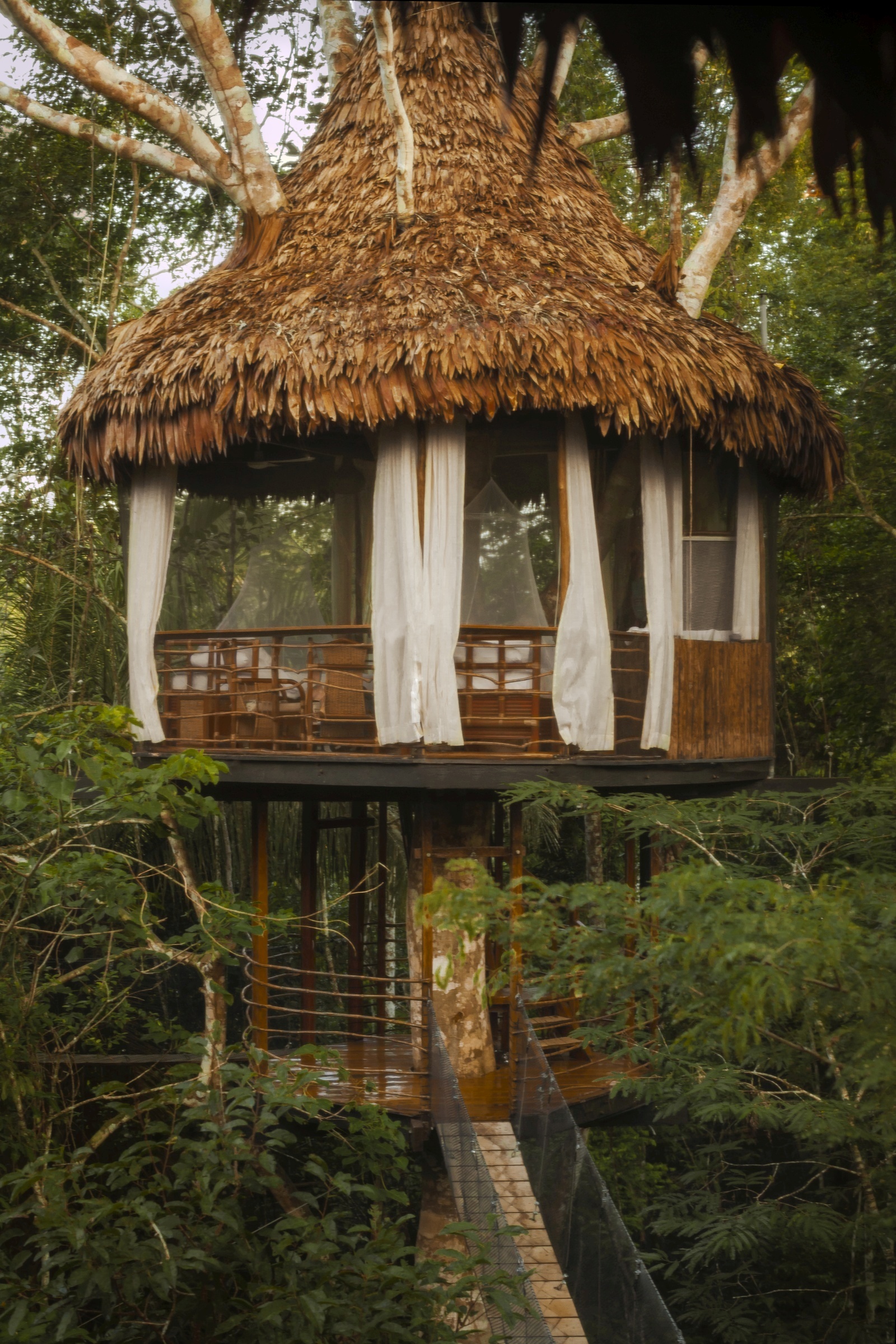 Treehouse Lodge Iquitos Tree top canopy bungalows with