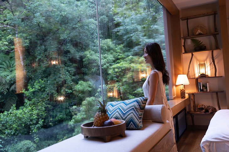 Treeful Treehouse Sustainable Resort AeroHouse Glass Walls