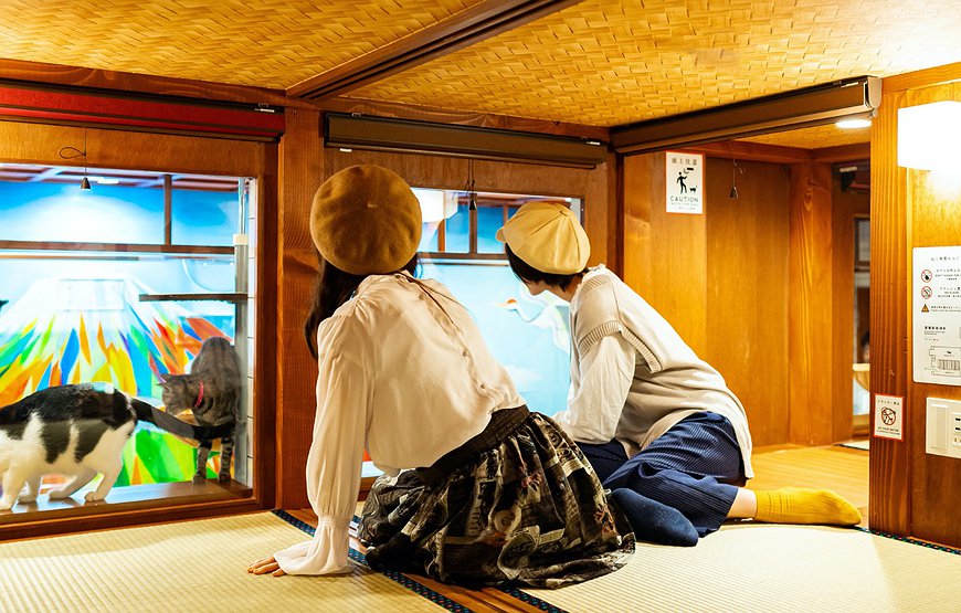 Cat Spa & Cat Ryokan by Neco - The Japanese Capsule Hotel With Cats