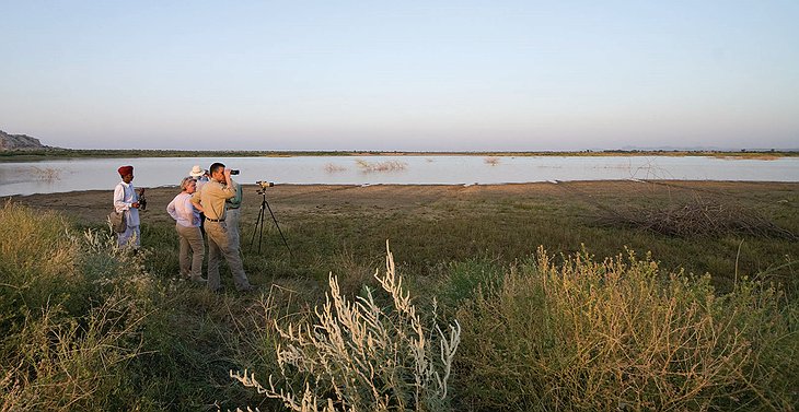 Chhatra Sagar bird watching