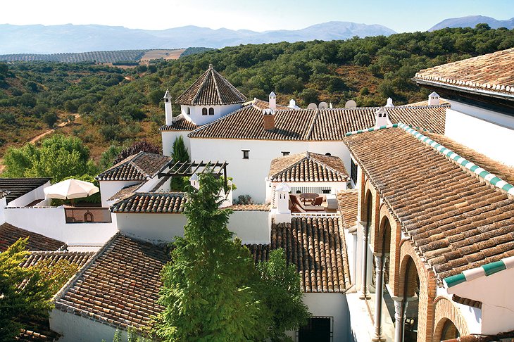 La Bobadilla rooftops