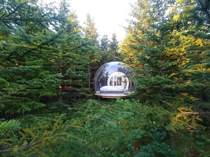 Aurora Bubble Hotel in the Summer