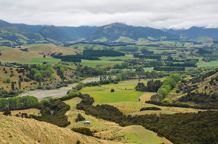 Manakau PurePod Nature Around