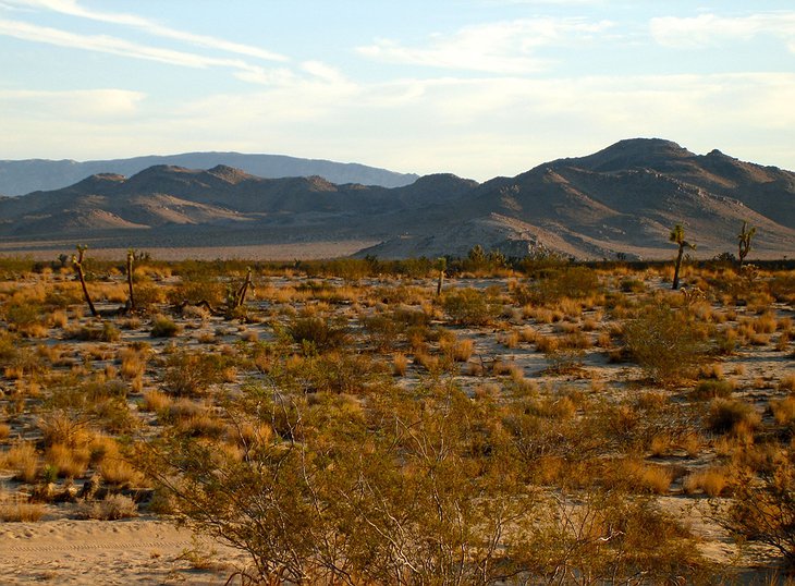 High Desert, California