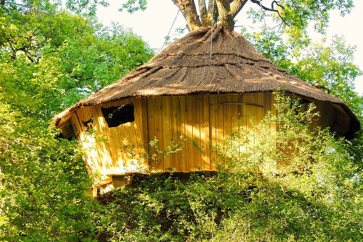 Tree Houses Alicourts for two