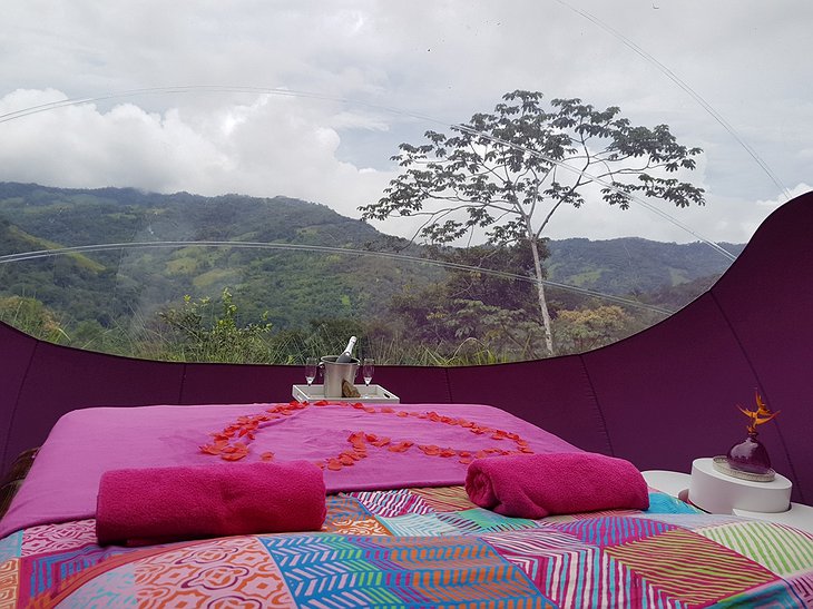 Love Sphere tent interior with bed and jungle views