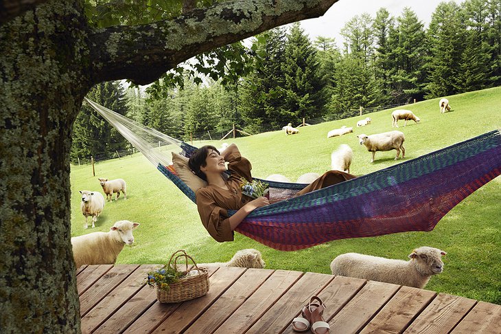 Tomamu The Tower Hotel Nap In A Hammock Among Sheep