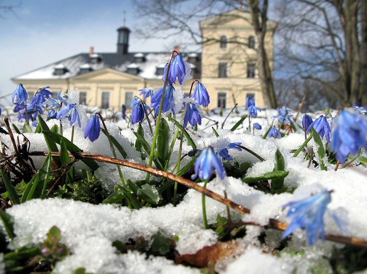 Chateau Mcely in winter with frozen flowers