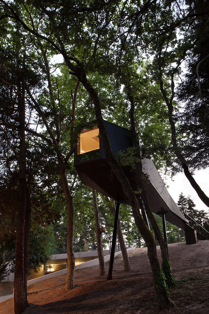 Pedras Salgadas tree house